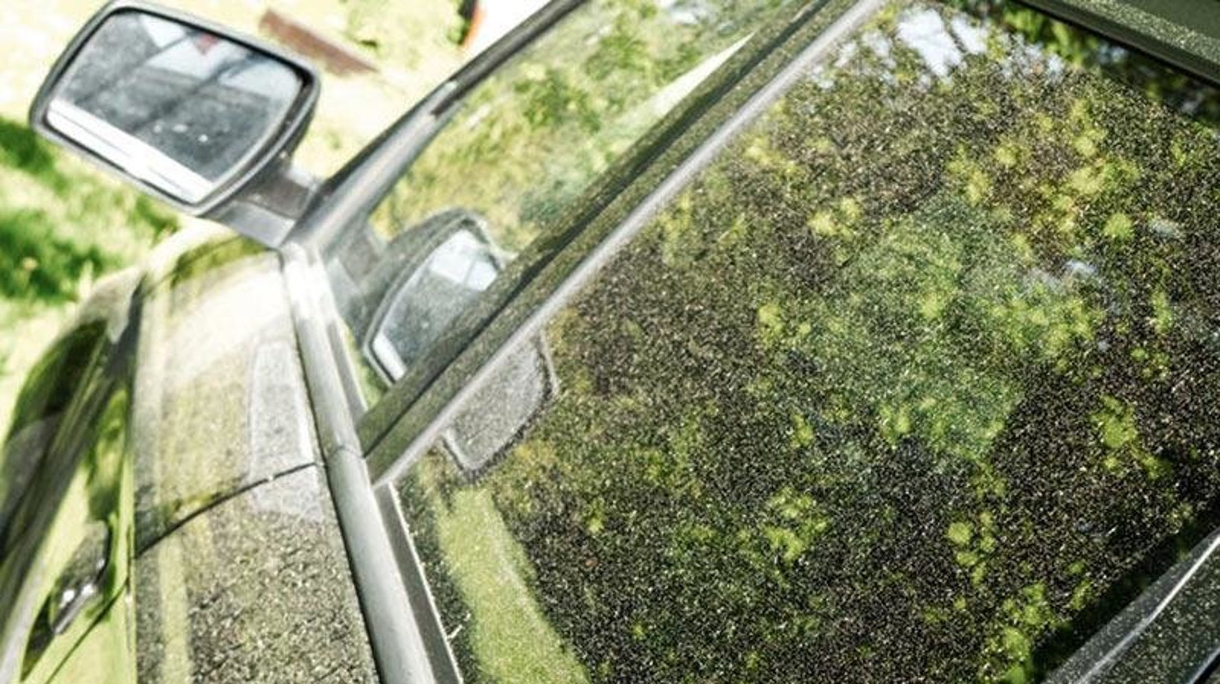 花粉の大量飛散で自動車にもダメージ 付着を防ぐ3つの方法とは ハフポスト 花粉の大量飛散で自動車にもダメージ 付着を防ぐ3つの方法とは ハフポスト
