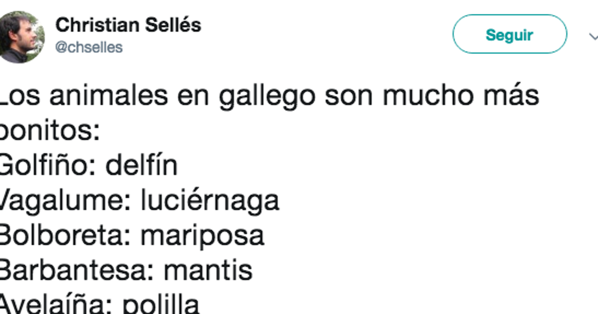 El Tuit Que Demuestra Que Los Nombres De Los Animales En Gallego Son Mucho Mas Bonitos El Huffpost
