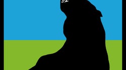 Paisaje político machista