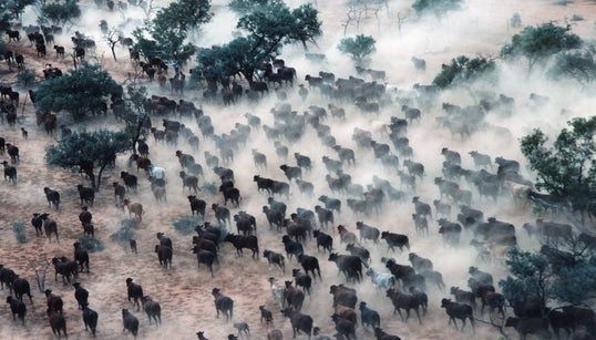 Uns steht eine noch größere Katastrophe als der Klimawandel bevor – und kaum jemand spricht