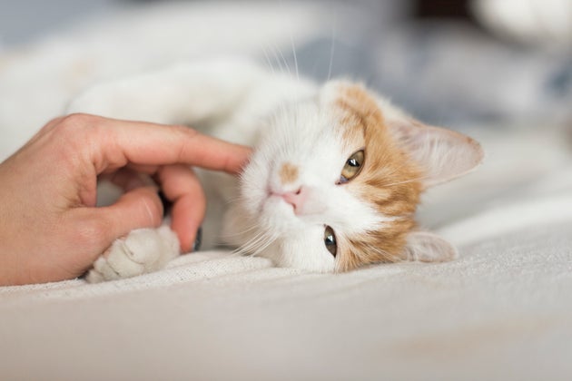 Do You Self-Harm? Here's How To Help