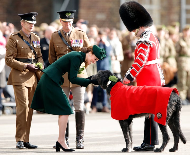 The Duchess of Cambridge presents Irish Wolfhound Domhnall, regimental mascot of the Irish Guards, with a sprig of shamrock during the St Patrick's Day Parade on Sunday.