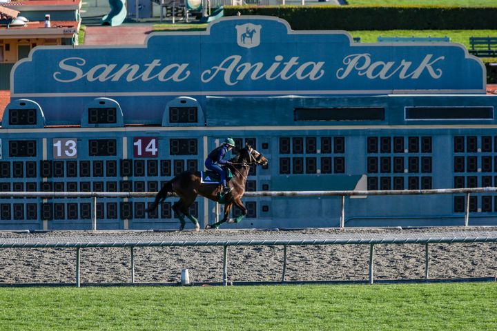 A rider is seen on a training track at Santa Anita Race Track in Arcadia on Friday, March 08.