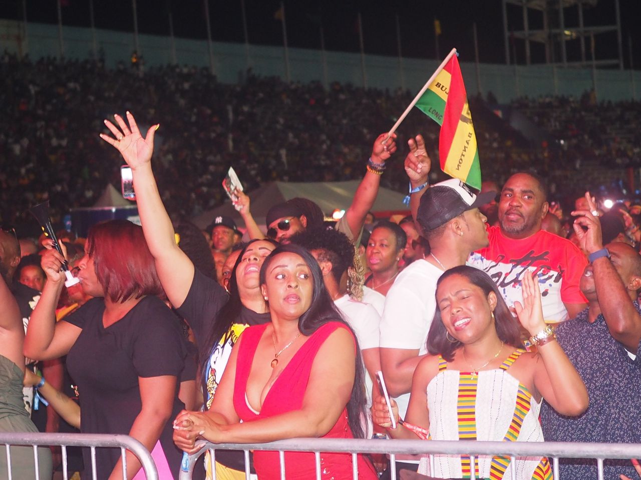 Revellers at the Long Walk To Freedom concert