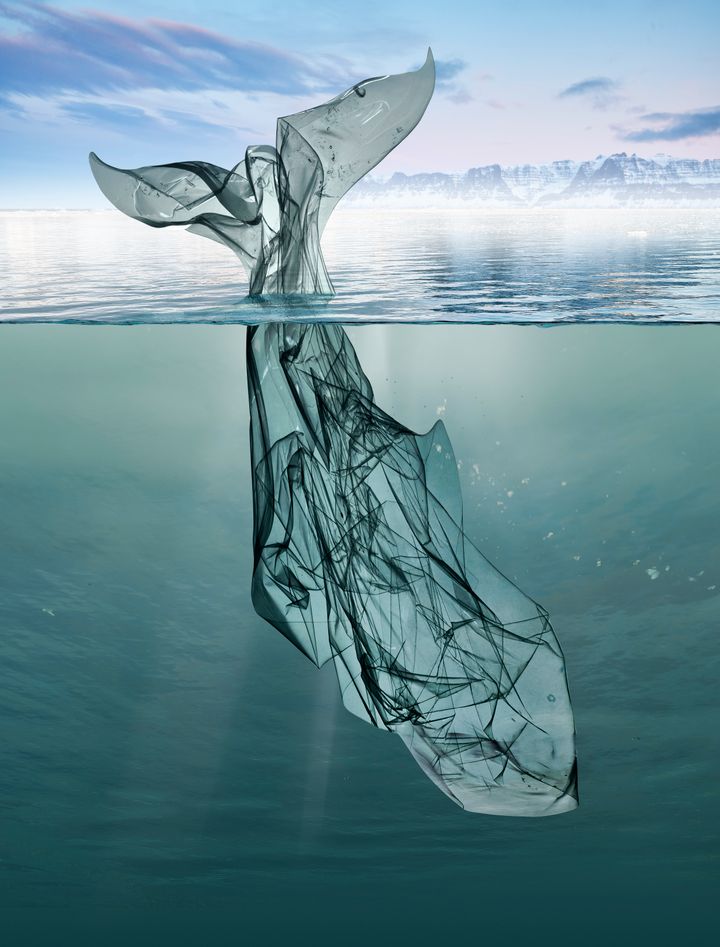 プラスチック袋で作られたクジラ イメージ画像