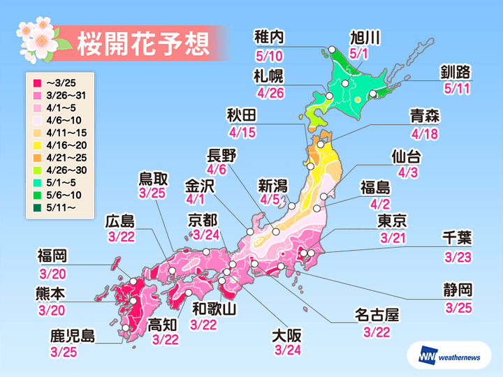 桜の開花予想