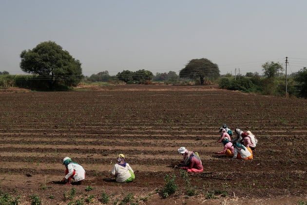 Women, At Sharp End Of India's Job Crisis, Have Turned Against