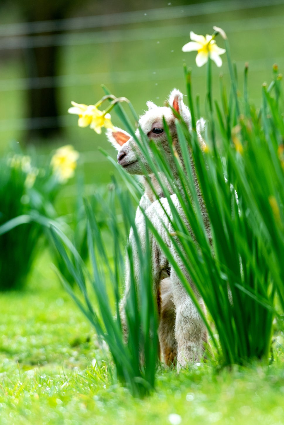 Taking time to smell the flowers.