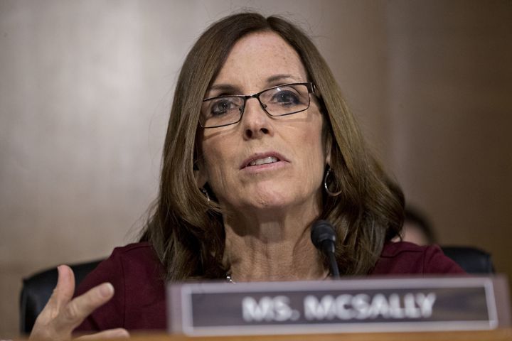 Republican Arizona Sen. Martha McSally, who holds John McCain's former Senate seat, is facing election in 2020 to maintain control of her seat.
