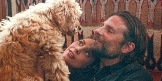 Race Chien Charlie A Star Is Born "A Star Is Born": Bradley Cooper va recevoir un prix de PETA grâce à