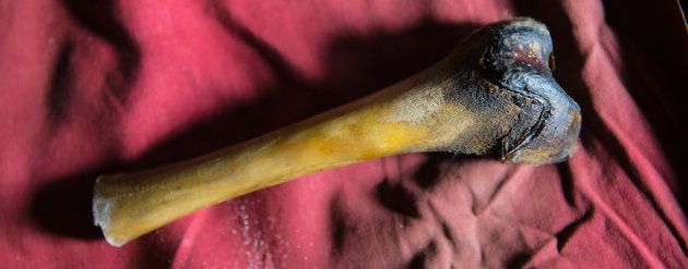 Un os de fémur, découvert dans une cave au Tibet, qui proviendrait d'un yéti. Mais l'analyse ADN a montré...