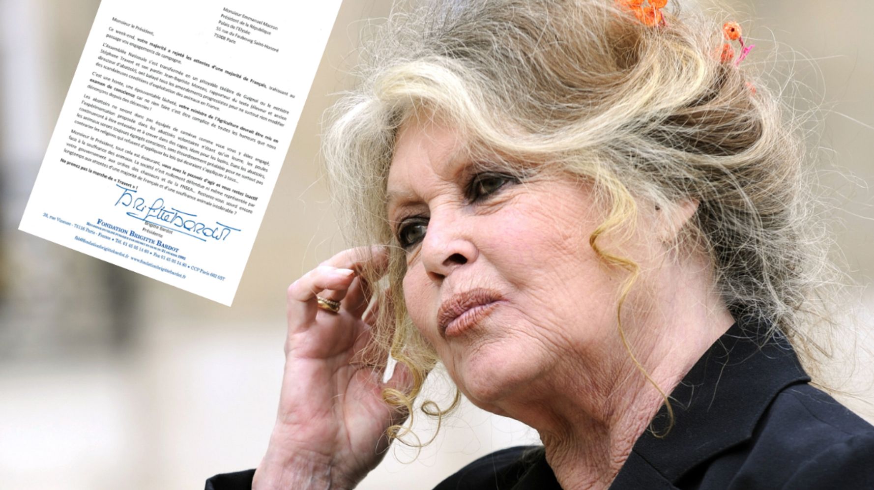 Brigitte Bardot Dans Une Lettre Cinglante à Emmanuel Macron Sur Les Caméras Dans Les Abattoirs 2682