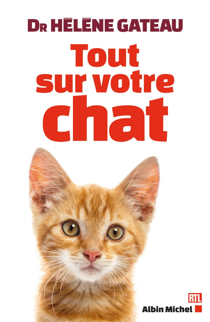 Comment Vous Comporter Avec Votre Animal De Compagnie Pendant Un Orage Le Huffington Post Life