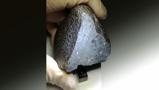Cette météorite a permis de mieux comprendre les origines de