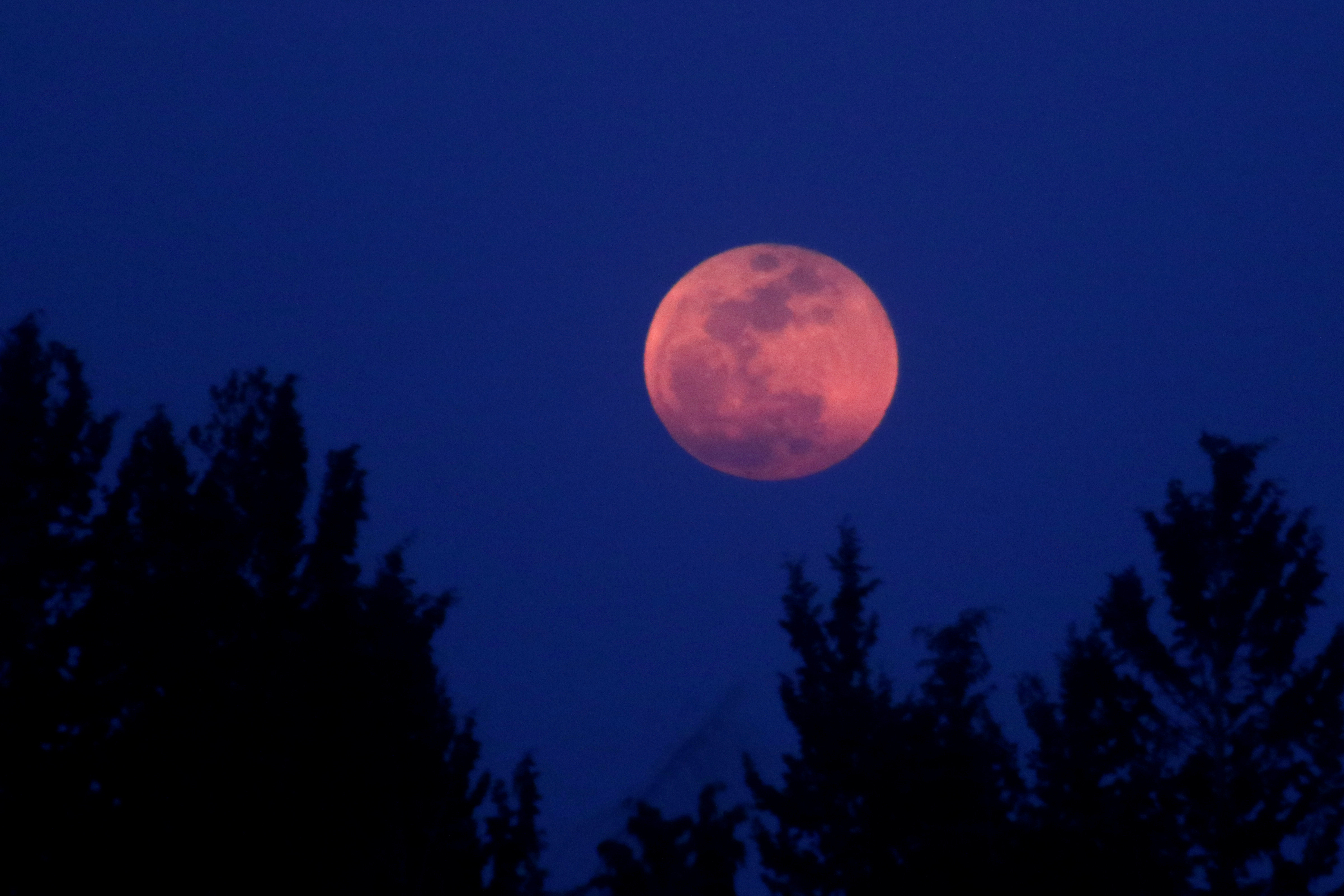 Les Plus Belles Images De La "Super Lune Bleue De Sang" | Le HuffPost