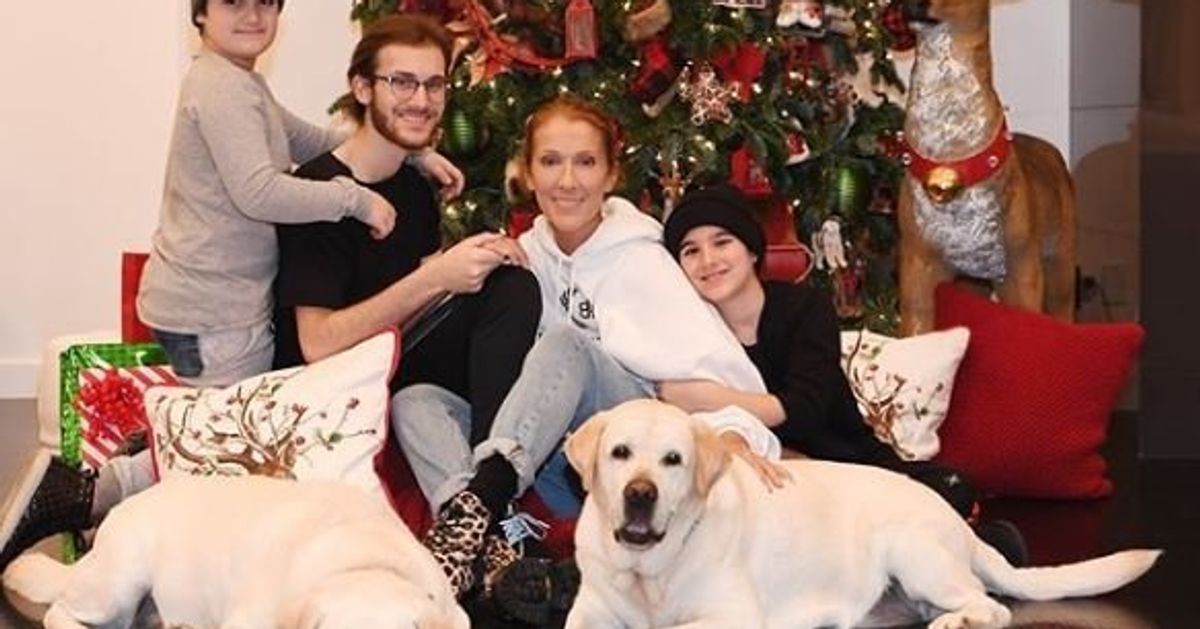 Joyeuses fêtes: Céline Dion partage pour Noël une adorable photo de famille  Le HuffPost