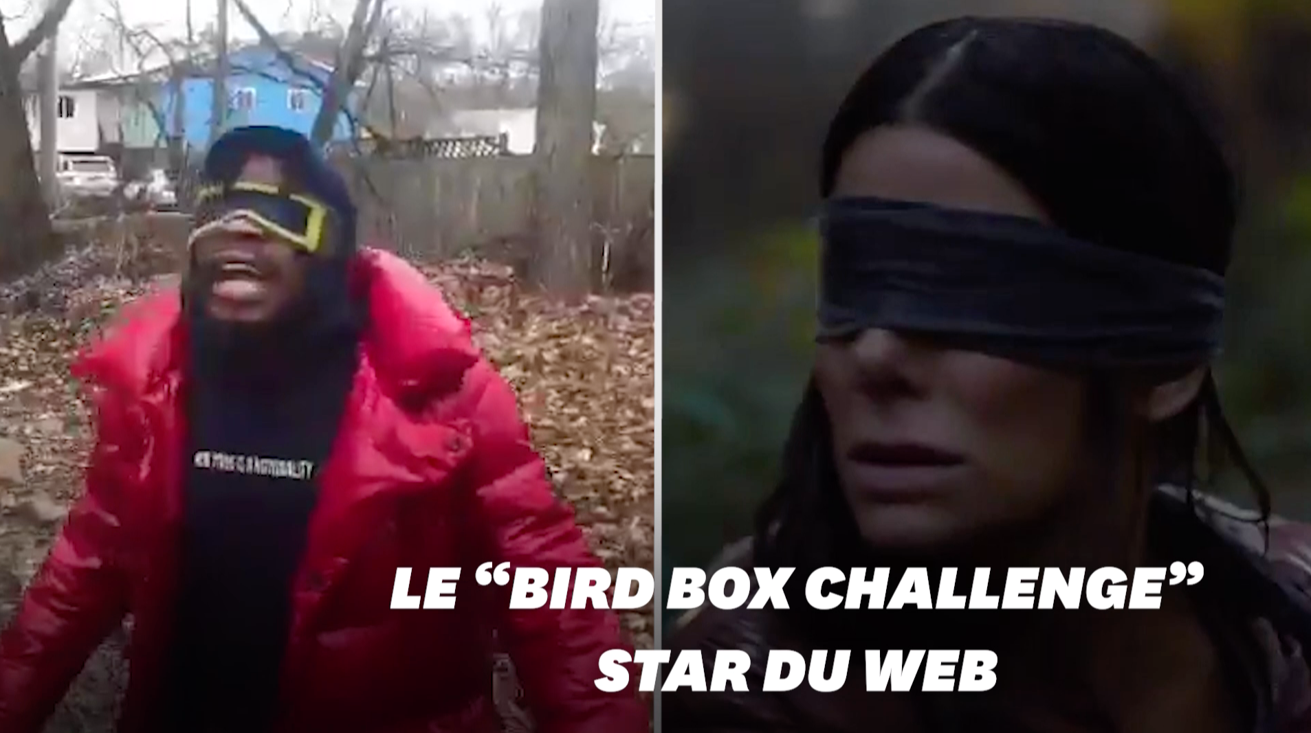 bird box challenge bird box challenge