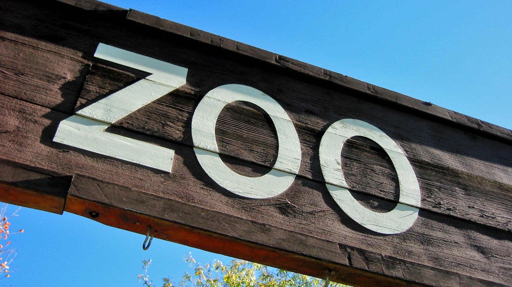 Après en avoir longtemps été fan, voici pourquoi je n'irai plus jamais au zoo Le Huffington