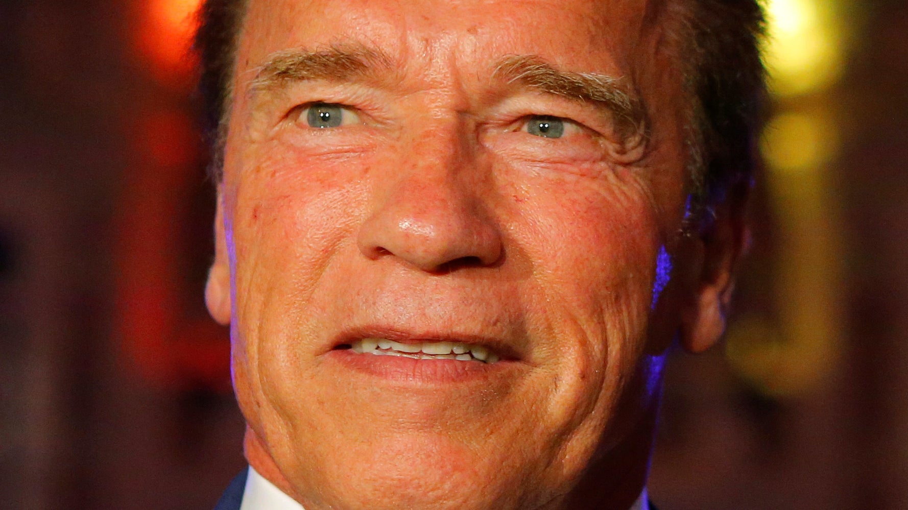 Arnold schwarzenegger children picture