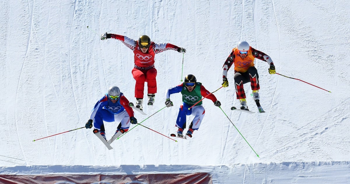 Quelles Sont Les Disciplines Des Jeux Olympiques D'hiver