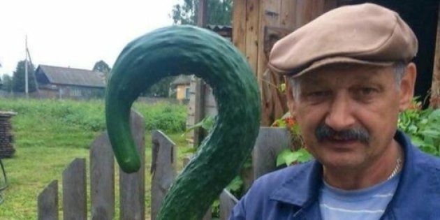 Cet Homme Qui Pose Avec Un Drole De Concombre Vaut Le Detour Nement Le Huffpost