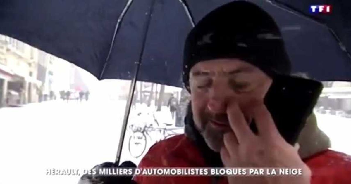 Sa Réaction Après Avoir Reçu Une Boule De Neige Va Vous