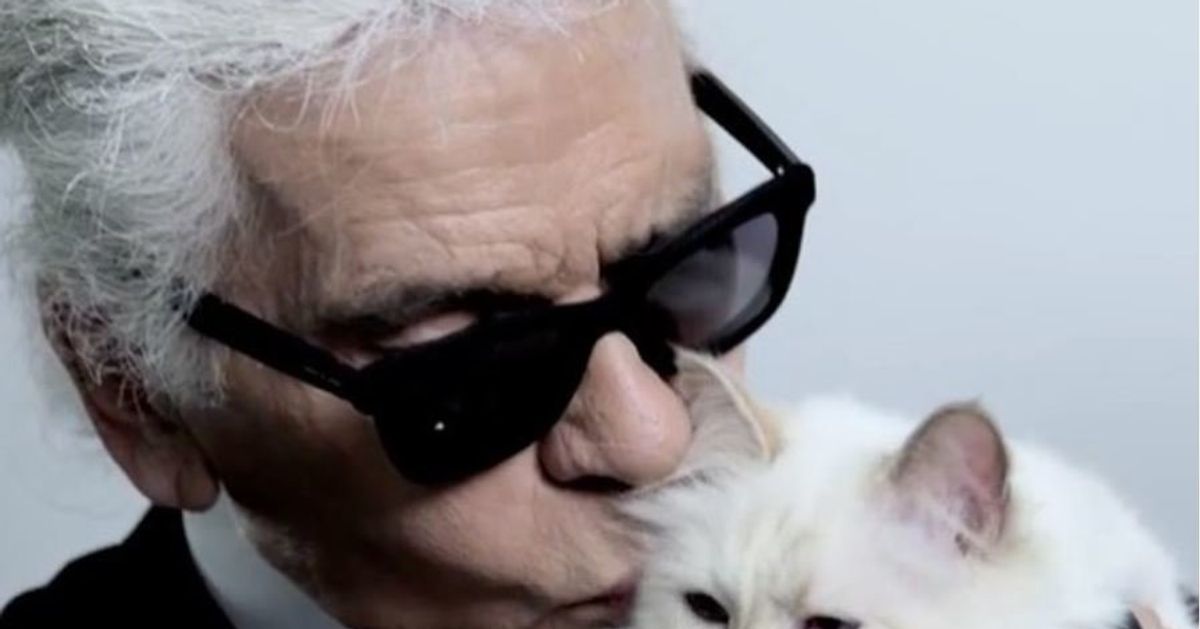 Karl Lagerfeld Avait Designe Son Chat Choupette Comme Heritiere Le Huffpost