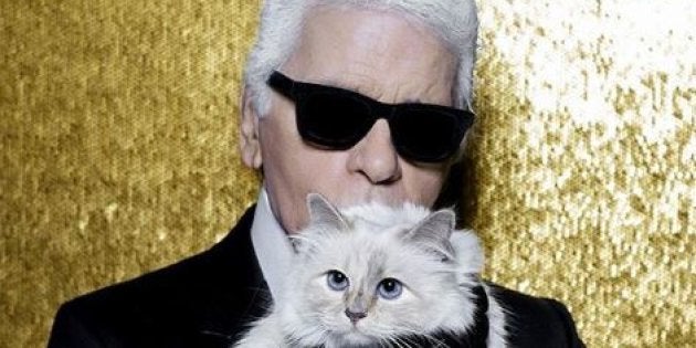 femme chatte pouces
