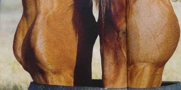 Cette Illusion D Optique Vous Dira Si Vous Avez L Esprit Mal Tourne Le Huffpost Cette Illusion D Optique Vous Dira Si Vous Avez L Esprit Mal Tourne Le Huffpost