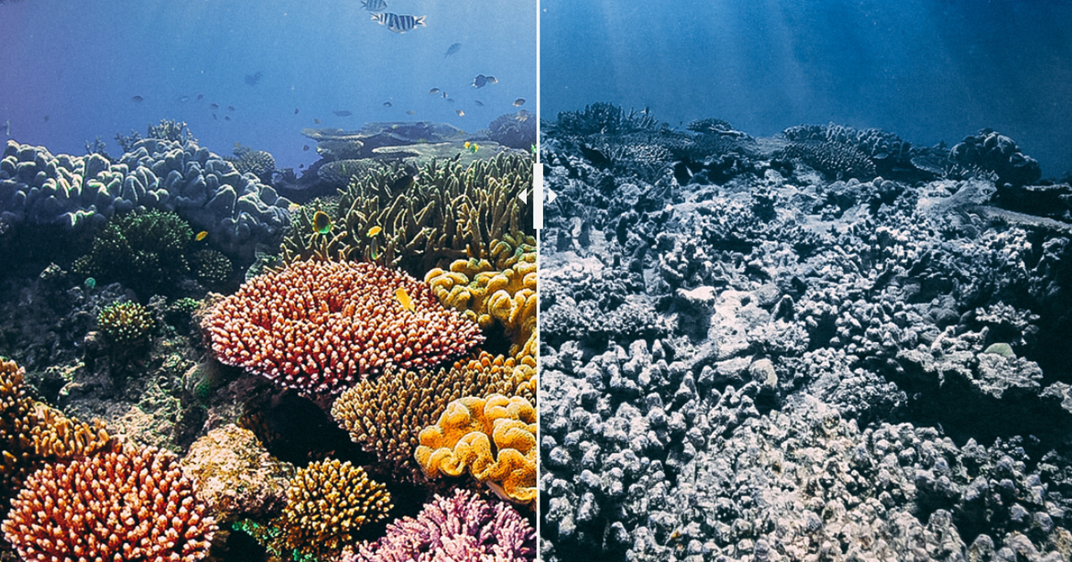 Ces photos de lieux paradisiaques avec puis sans retouches font froid