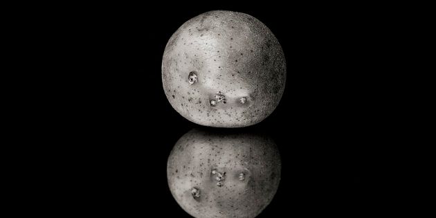 La Chine va faire pousser des patates sur la Lune l'année prochaine, grâce à des vers à