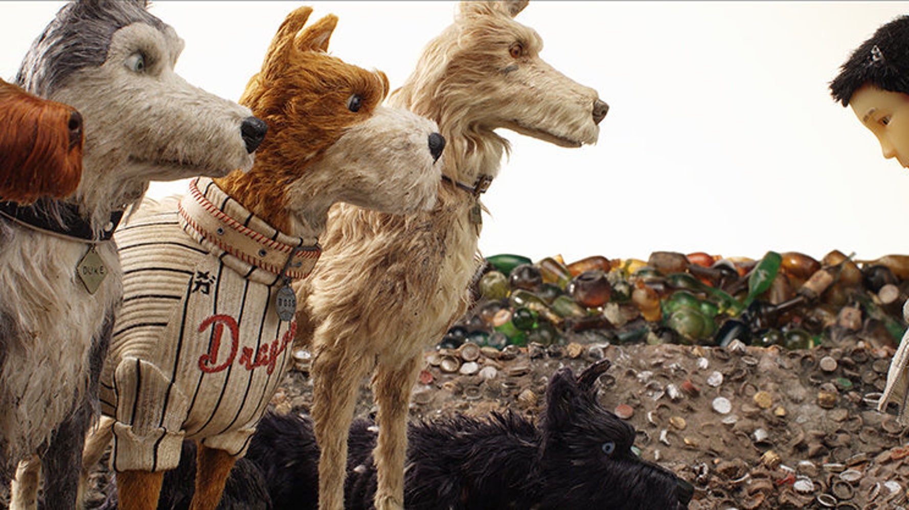 Avec L Ile Aux Chiens Wes Anderson Clot L Eternel Debat Entre Chiens Et Chats Le Huffpost Avec L Ile Aux Chiens Wes Anderson Clot L Eternel Debat Entre Chiens Et Chats Le Huffpost