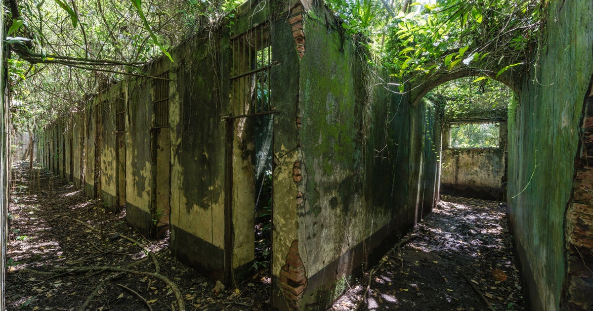 Sur les traces de Papillon dans le bagne de l'île SaintJoseph en