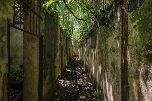 Sur les traces de Papillon dans le bagne de l'île Saint-Joseph en