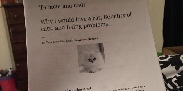 Les Parents De Cette Jeune Fille Qui Reve D Un Chat Auront Du Mal A Resister A Ce Vibrant Plaidoyer Le Huffpost Les Parents De Cette Jeune Fille Qui Reve D Un Chat Auront Du Mal A Resister A Ce Vibrant Plaidoyer Le Huffpost