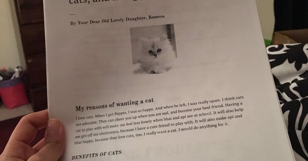 Les Parents De Cette Jeune Fille Qui Reve D Un Chat Auront Du Mal A Resister A Ce Vibrant Plaidoyer Le Huffpost