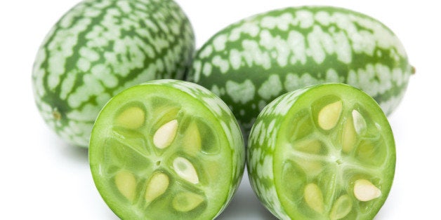 15 graines mexicaine Mini Concombres Melothria scabra pastèques-Concombre Cucamelon