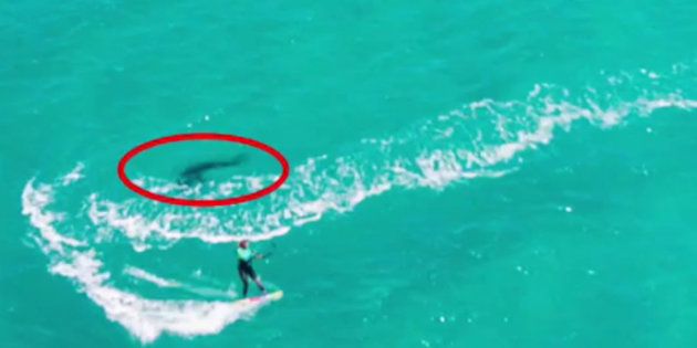Cette kitesurfeuse française nous raconte sa rencontre avec un requin