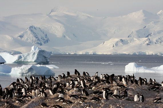 L'Antarctique, le voyage d'une
