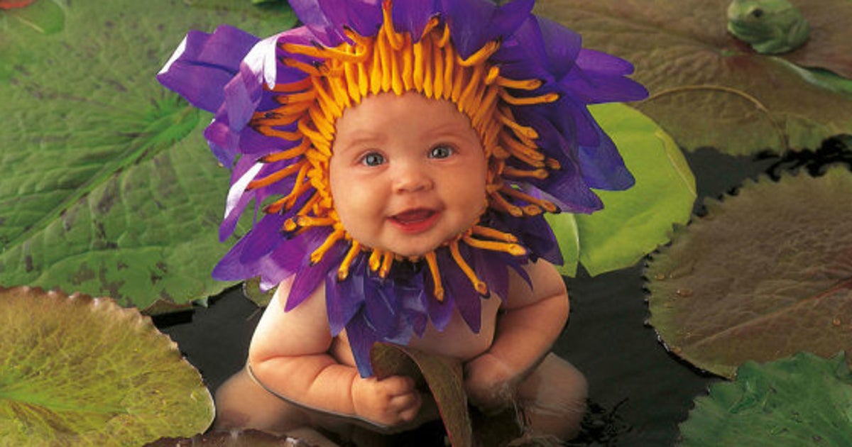 A Quoi Ressemblent Les Bebes Photographies Par Anne Geddes Aujourd Hui Le Huffpost