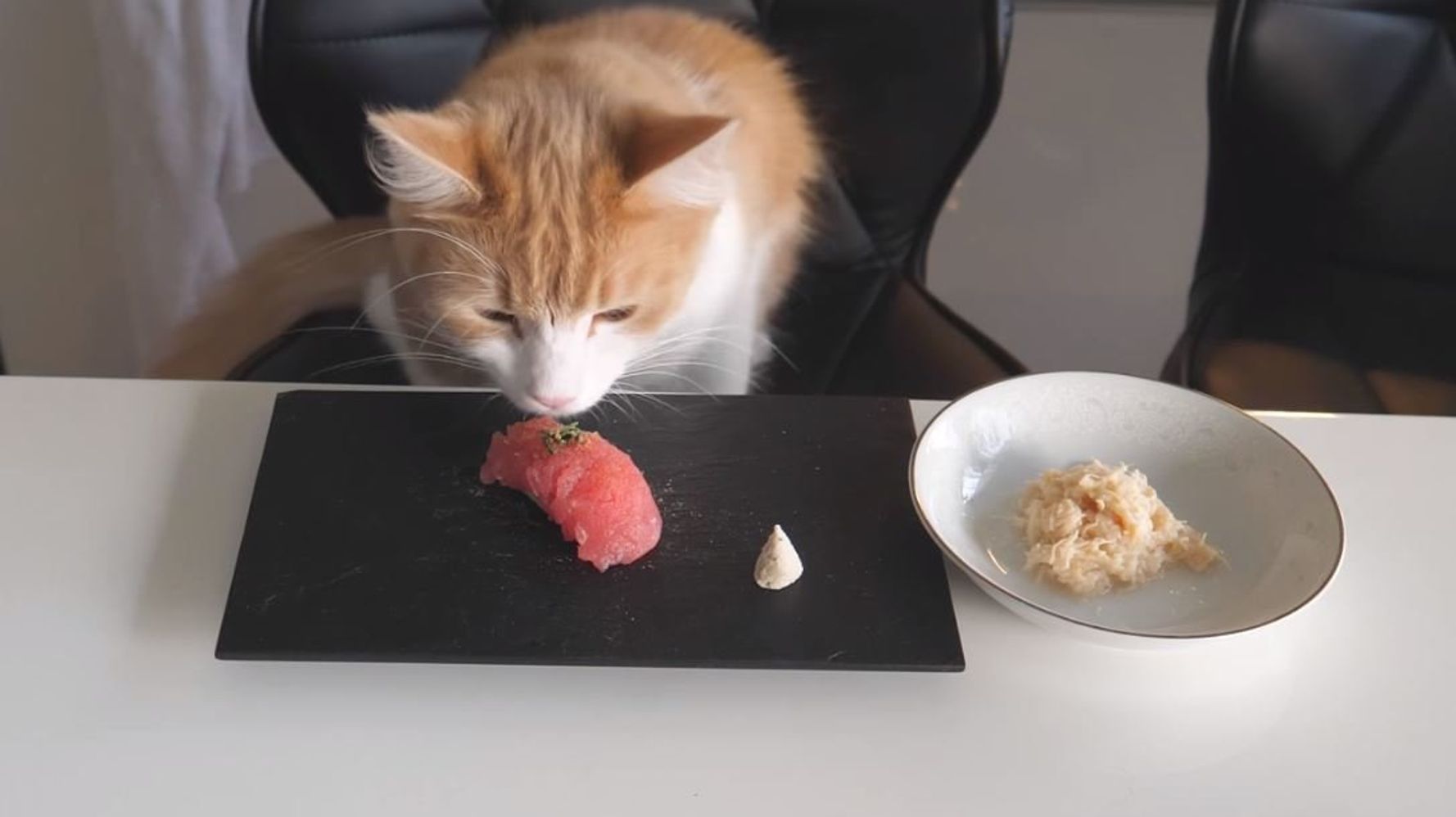 Ce Chef Cuisine Des Sushis Pour Ses Chats Avec Amour Le Huffpost