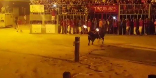 L Histoire De Ce Taureau Mort En Espagne Dont Les Cornes Ont Ete Enflammees Indigne Le Huffpost