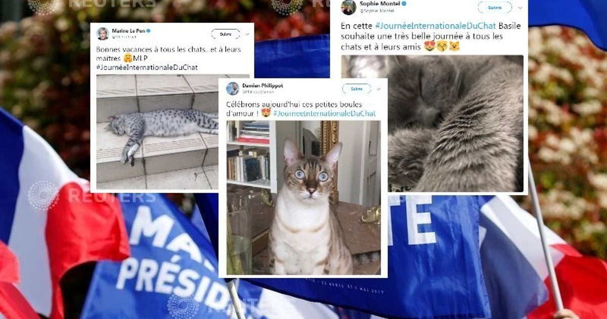 Journee Internationale Du Chat Les Cadres Du Fn Tenaient A Faire Savoir Qu Ils Aiment Les Chats Le Huffpost