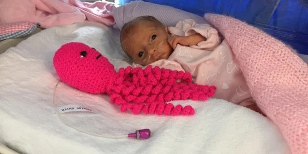 Des Petites Pieuvres En Peluche Realisees Au Crochet Pour Aider Les Prematures Le Huffington Post Life Des Petites Pieuvres En Peluche Realisees Au Crochet Pour Aider Les Prematures Le Huffington Post Life