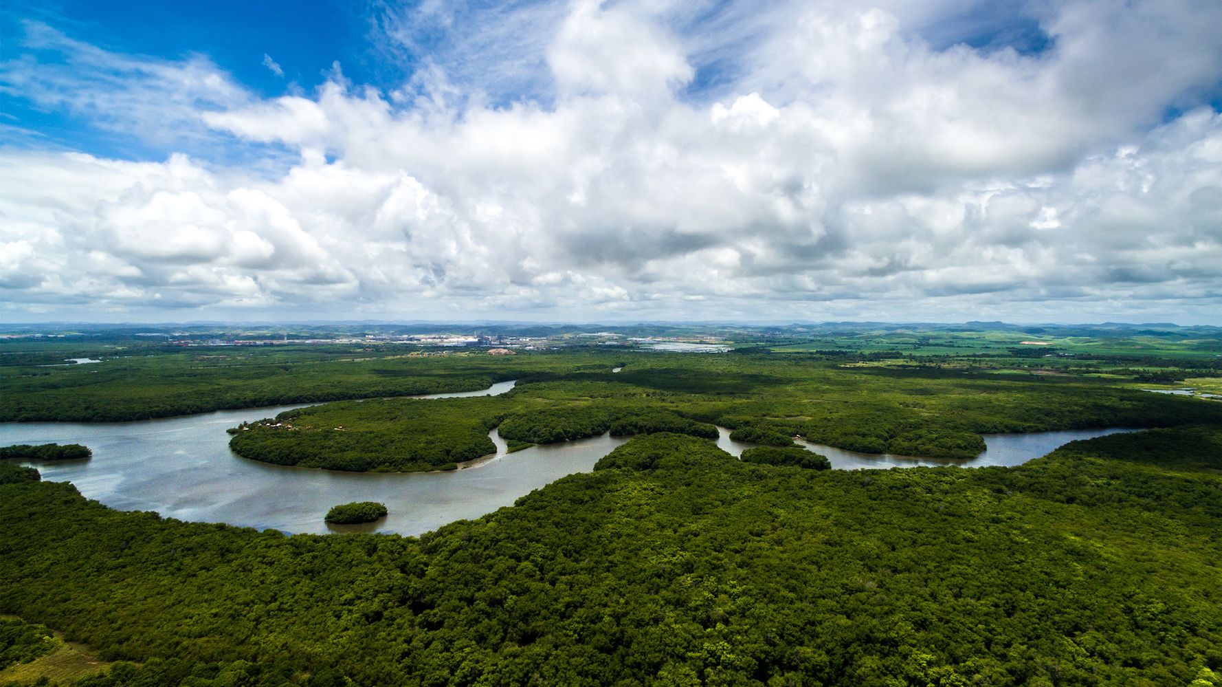 Foret Amazonienne Peut On Vraiment Parler Du Poumon De La Planete Le Huffpost