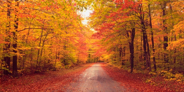 Vous Etes Obsede Par L Automne Il Y A Une Explication Scientifique A Cela Le Huffington Post Life Vous Etes Obsede Par L Automne Il Y A Une Explication Scientifique A Cela Le Huffington Post Life
