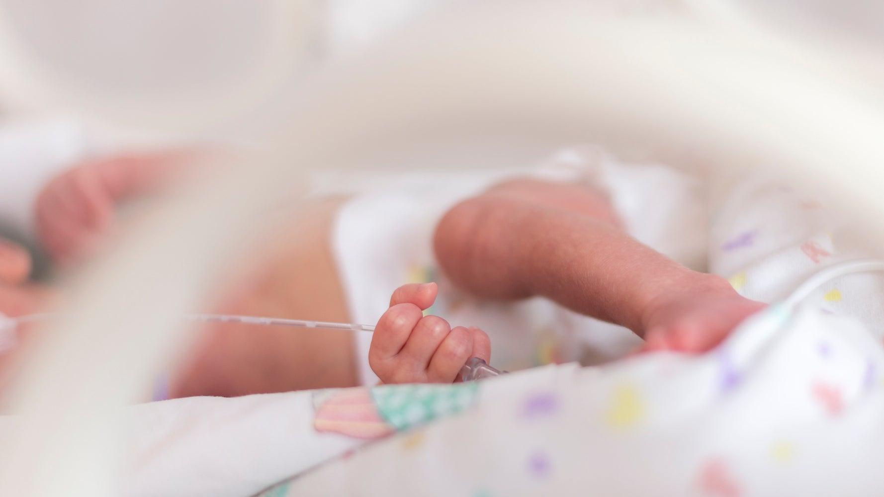 Le Nouveau Ne Premature La Pieuvre Et Les Parents Ne Nous Trompons Pas De Priorite Le Huffington Post Life