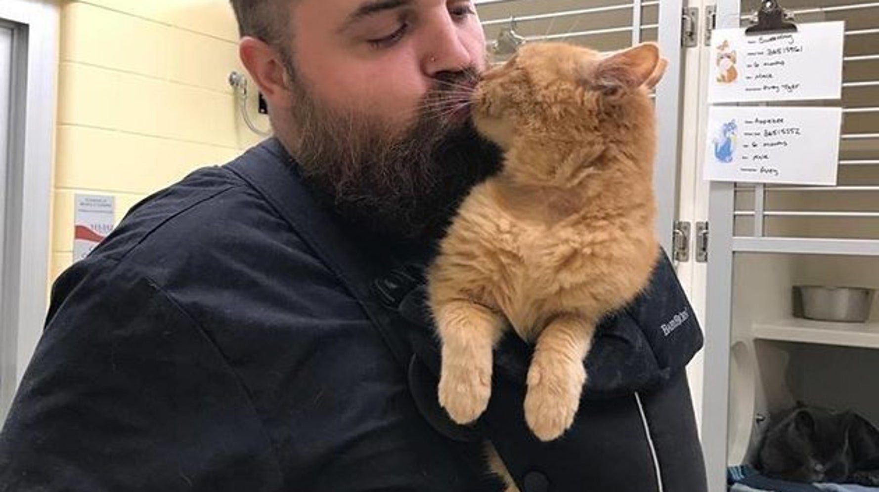 Ce Refuge Pour Animaux A Trouve La Solution Pour Ce Vieux Chat Qui Adore Etre Porte Le Huffpost Ce Refuge Pour Animaux A Trouve La Solution Pour Ce Vieux Chat Qui Adore Etre Porte Le Huffpost