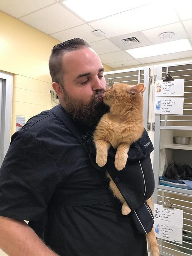 Ce Refuge Pour Animaux A Trouve La Solution Pour Ce Vieux Chat Qui Adore Etre Porte Le Huffpost Ce Refuge Pour Animaux A Trouve La Solution Pour Ce Vieux Chat Qui Adore Etre Porte Le Huffpost