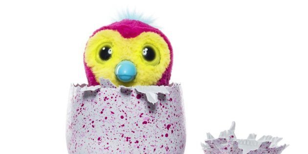 hatchimals qui parle